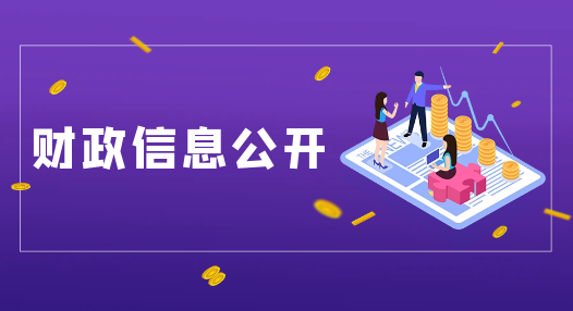 主 題：財(cái)政信息公開(kāi)